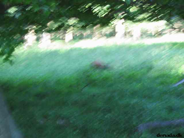 * Image 72