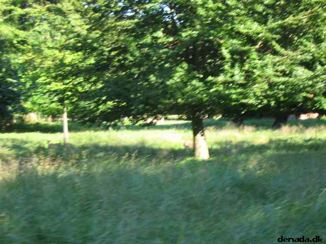 * Image 73