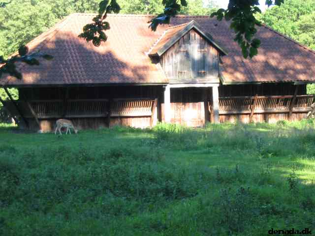 * Image 80