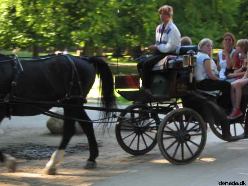 * Image 20