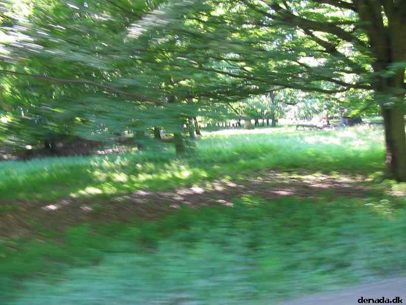 * Image 22