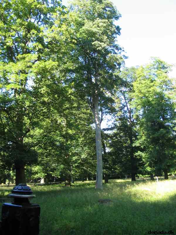 * Image 25