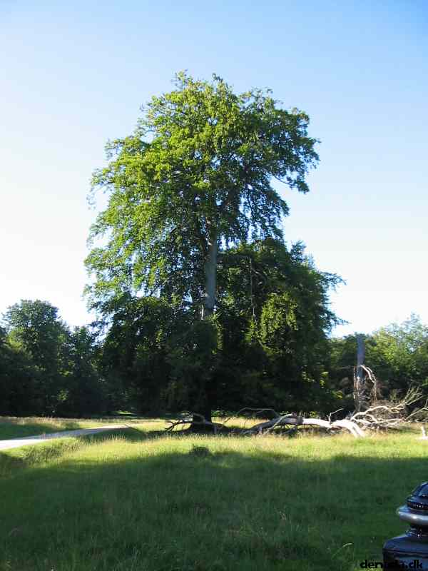 * Image 27