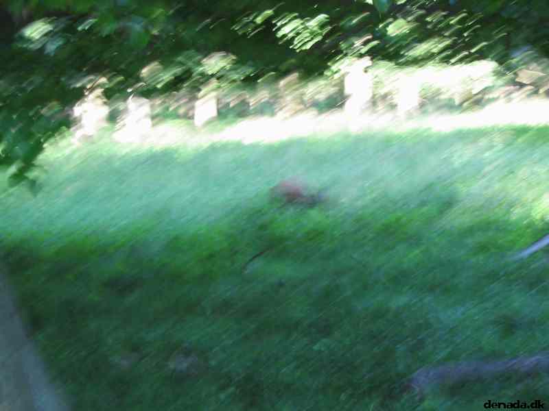 * Image 72