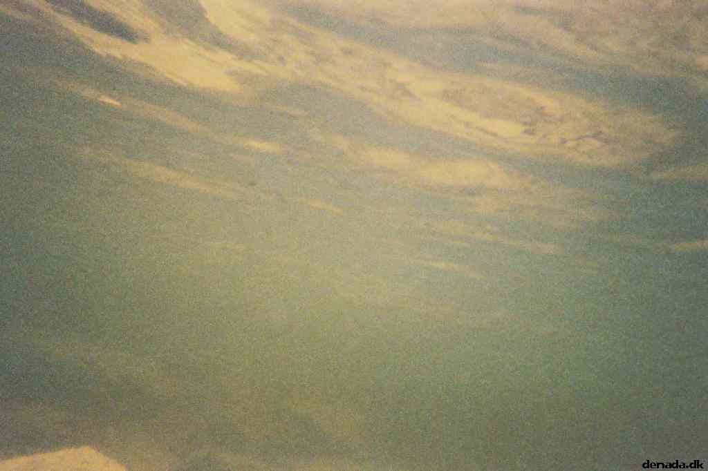 * Image 3