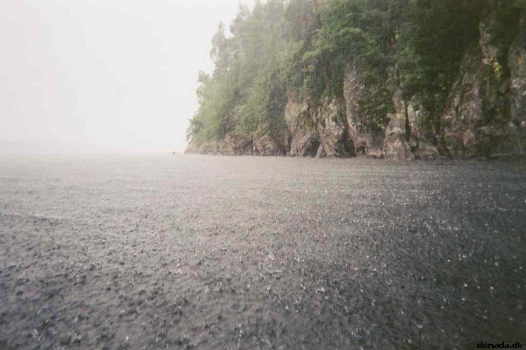 * Image 8