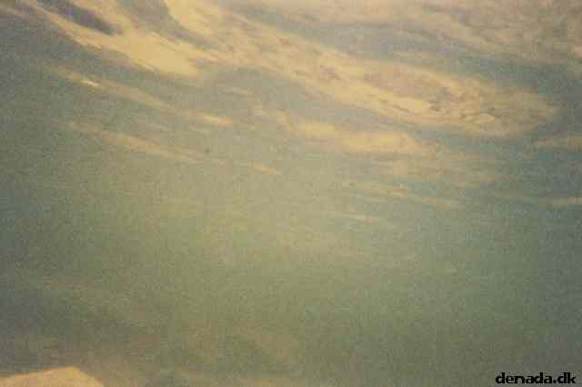 * Image 3