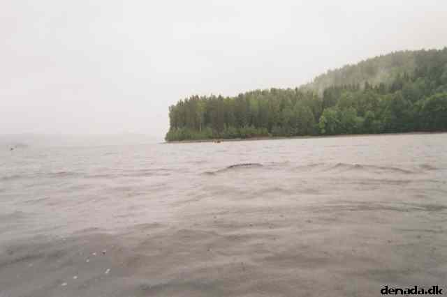 * Image 5