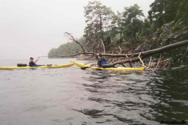 * Image 6