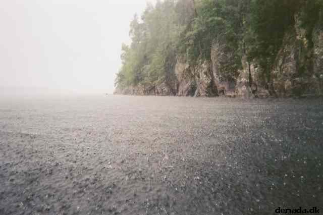 * Image 8
