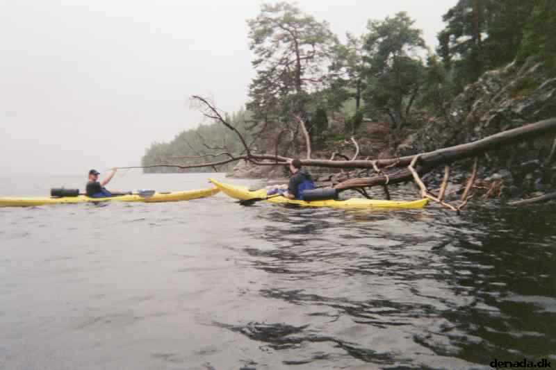 * Image 6