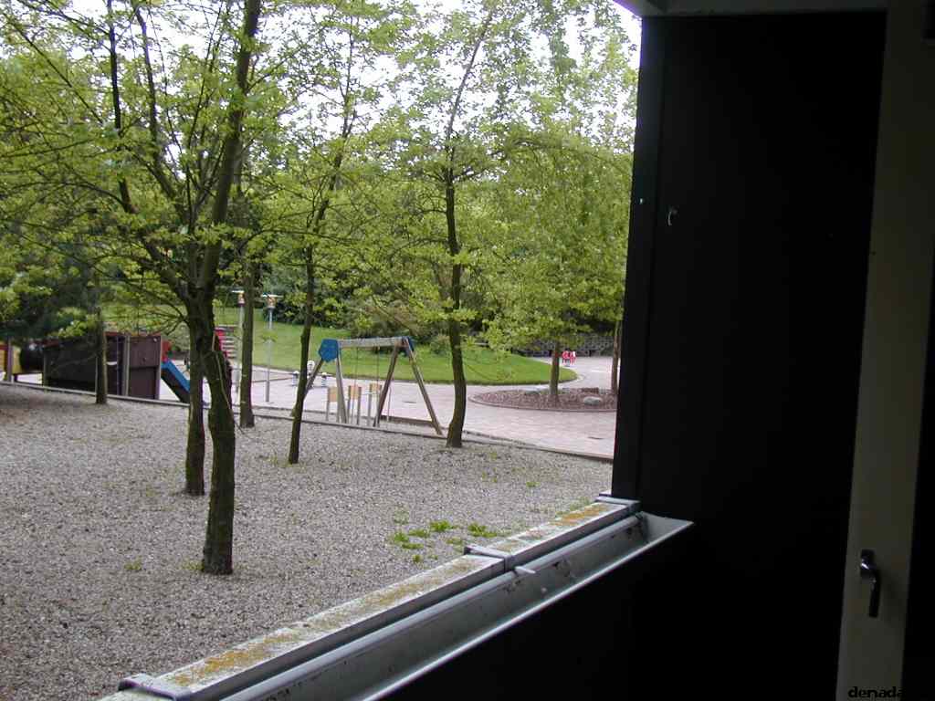 * Image 10