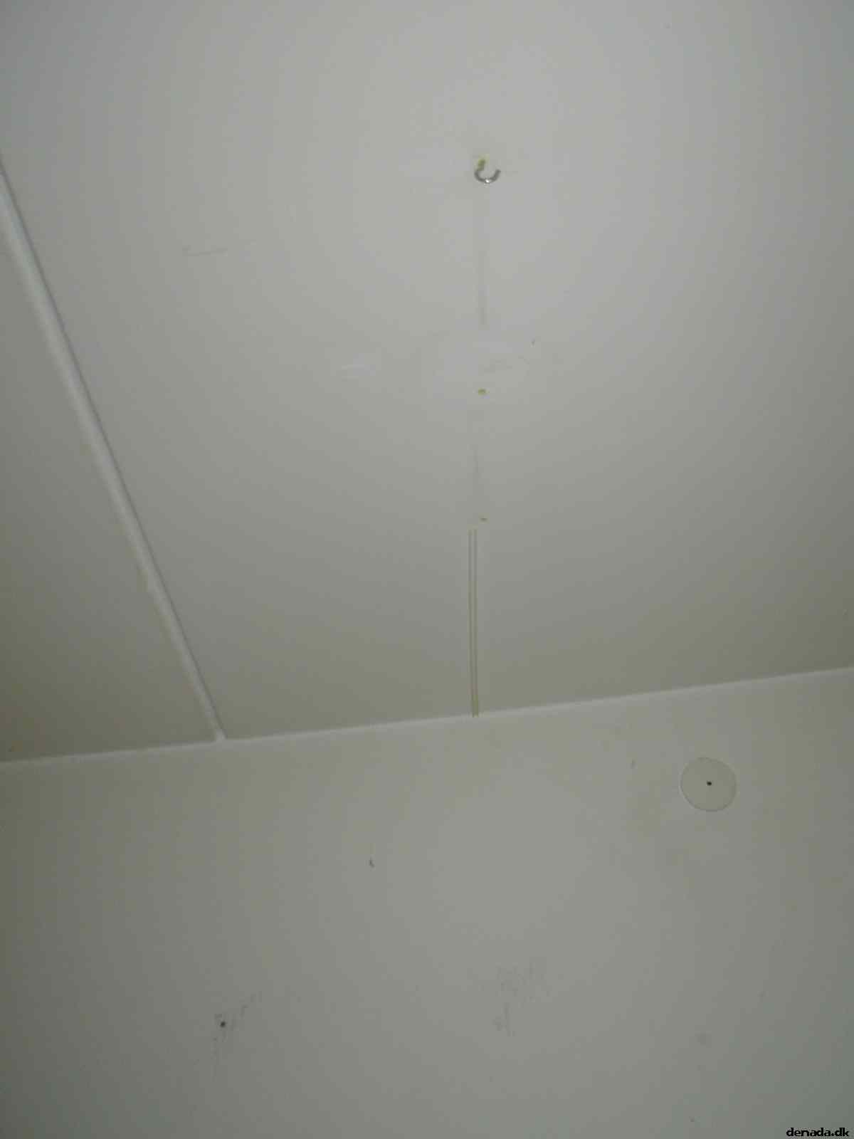 * Image 3