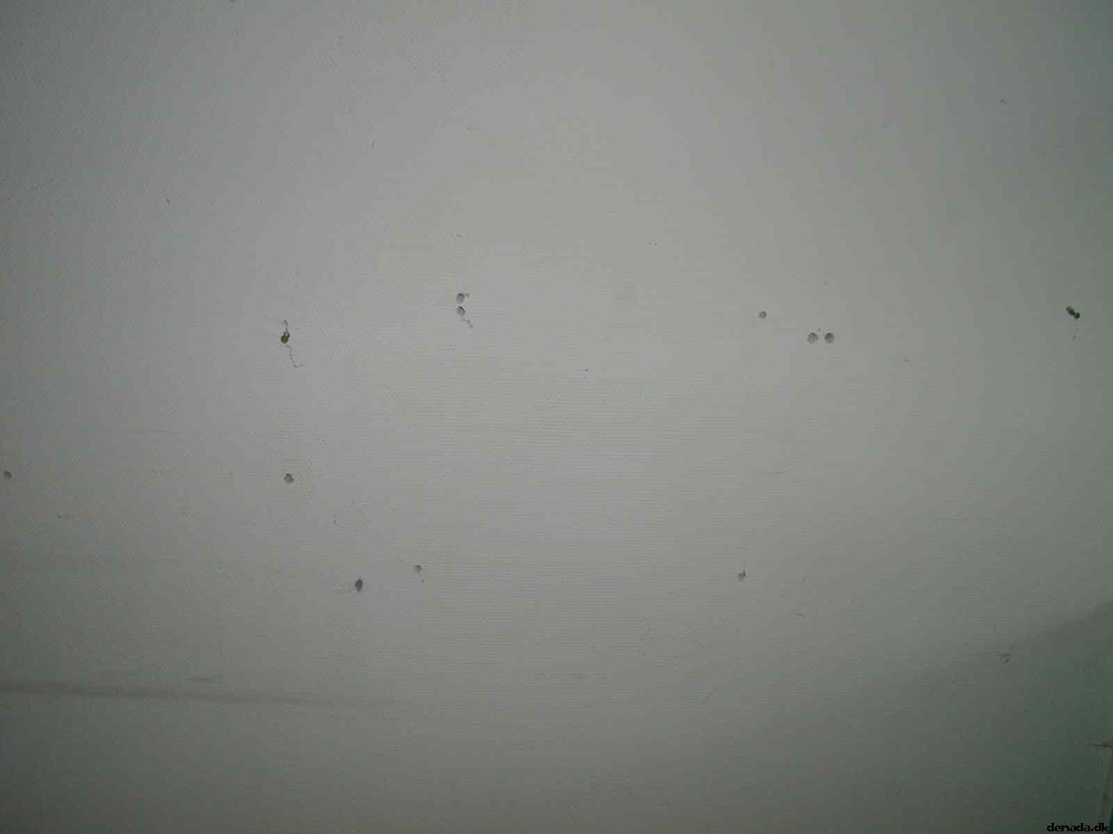 * Image 4