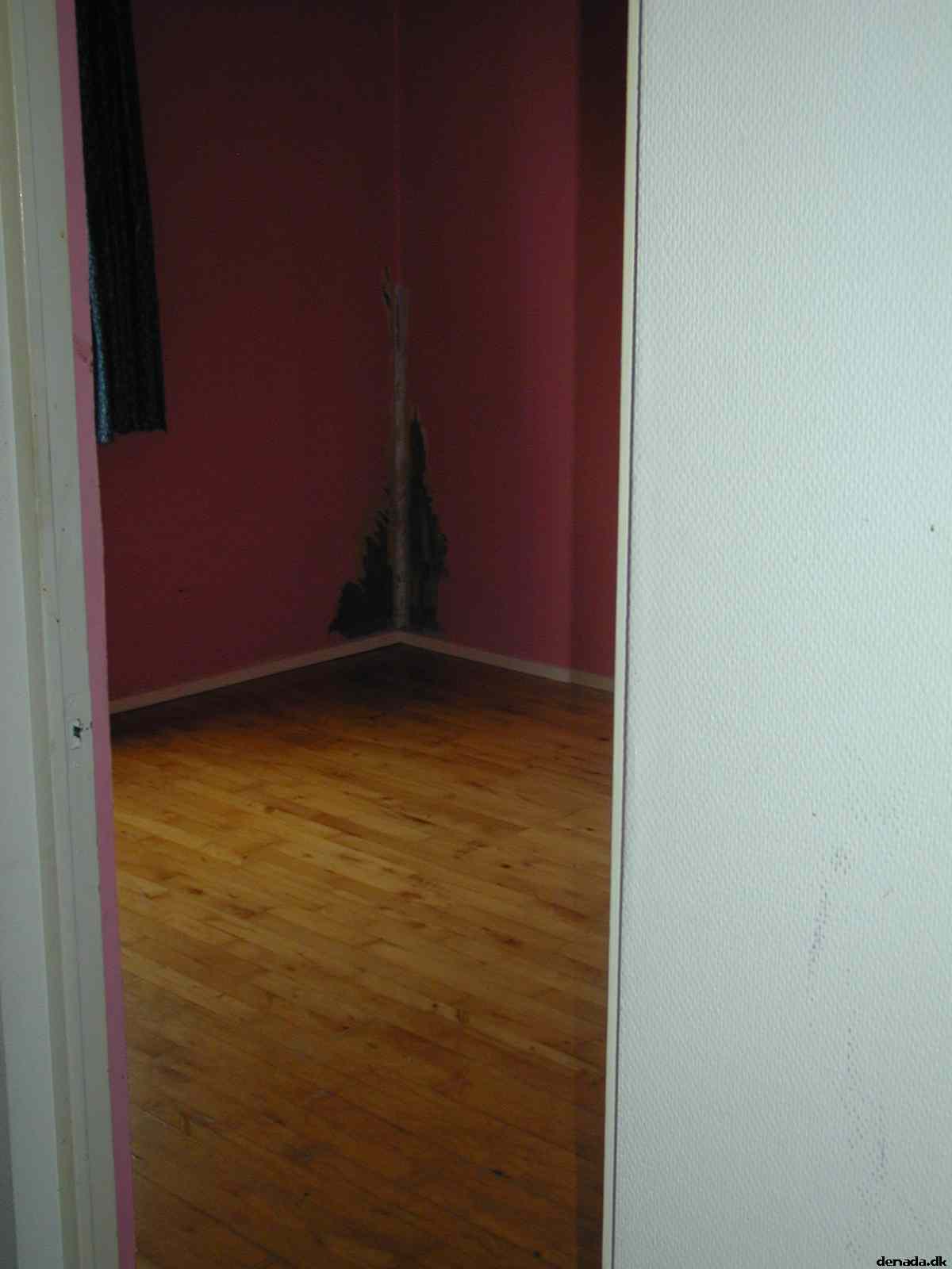 * Image 14