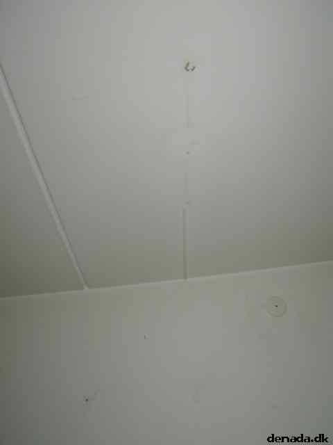 * Image 3