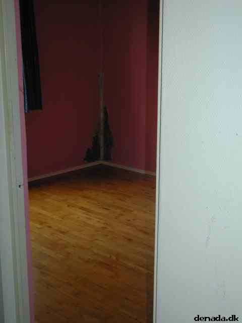 * Image 14