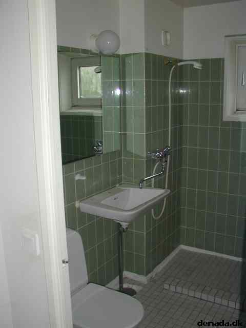 * Image 19
