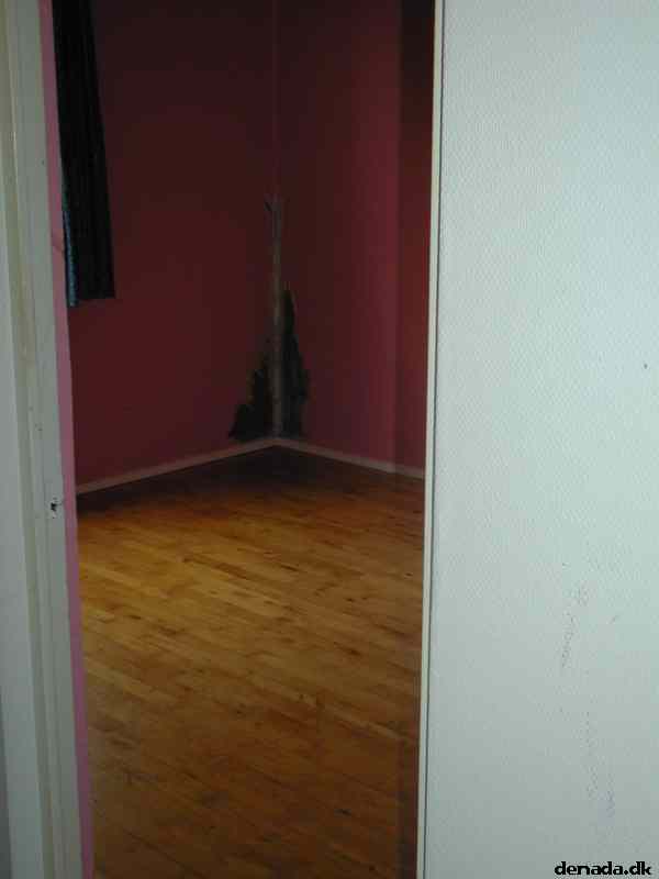 * Image 14