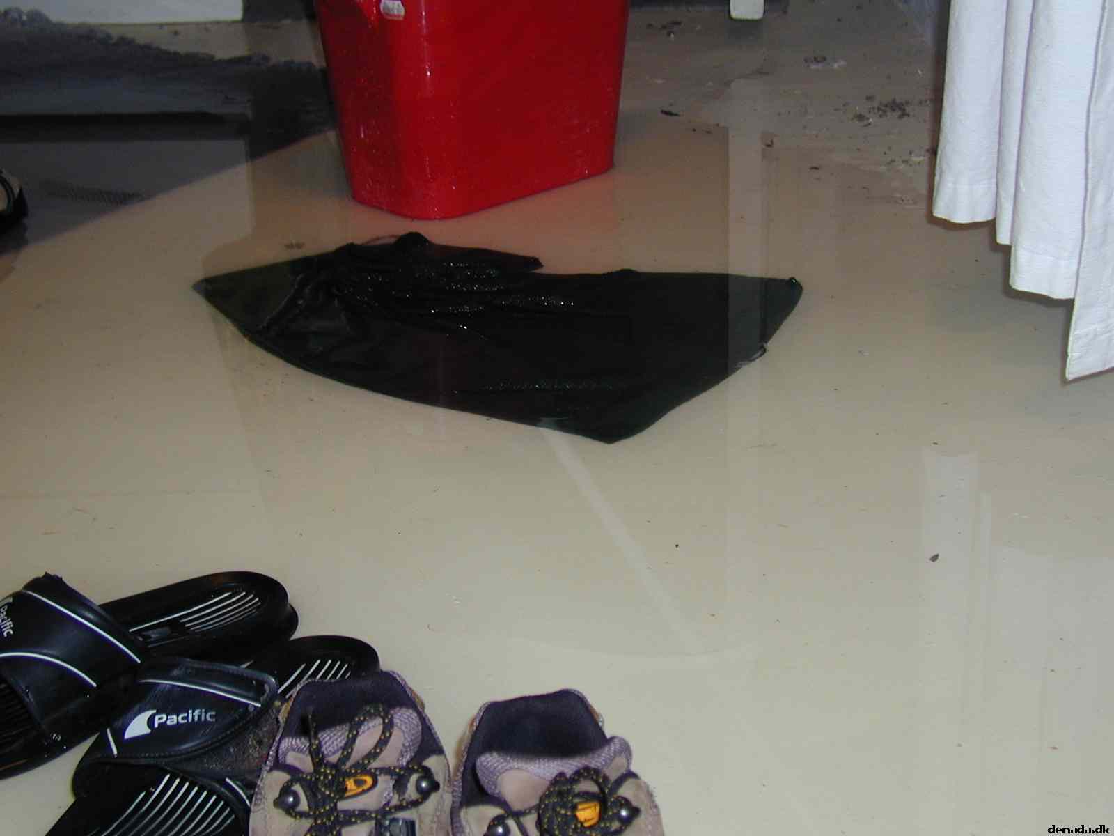 * Image 2