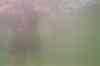 015_16A.JPG - 2005:07:07 10:59:10