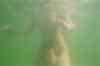 019_20A.JPG - 2005:07:07 10:59:04