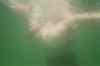 022_23A.JPG - 2005:07:07 10:58:57