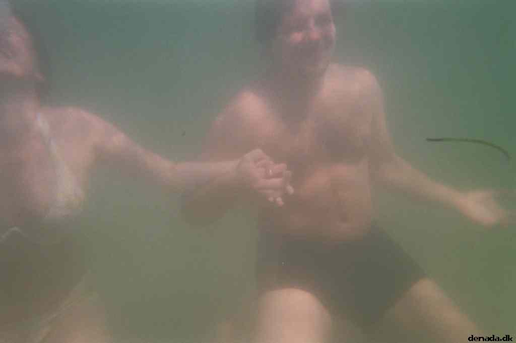 * Image 1