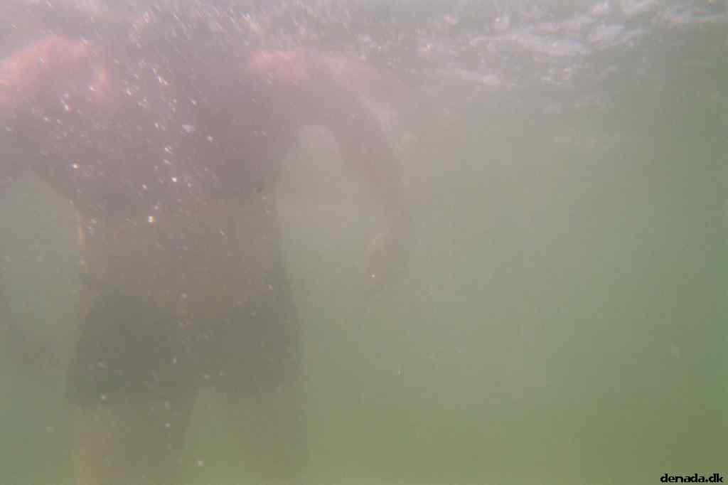 * Image 3