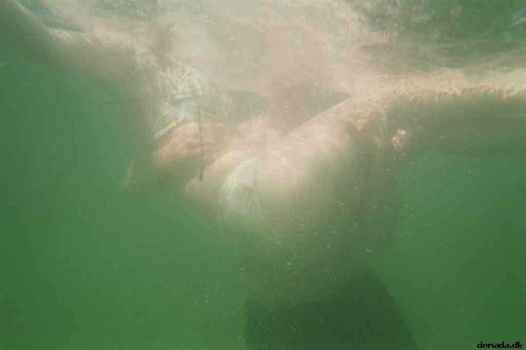 * Image 10