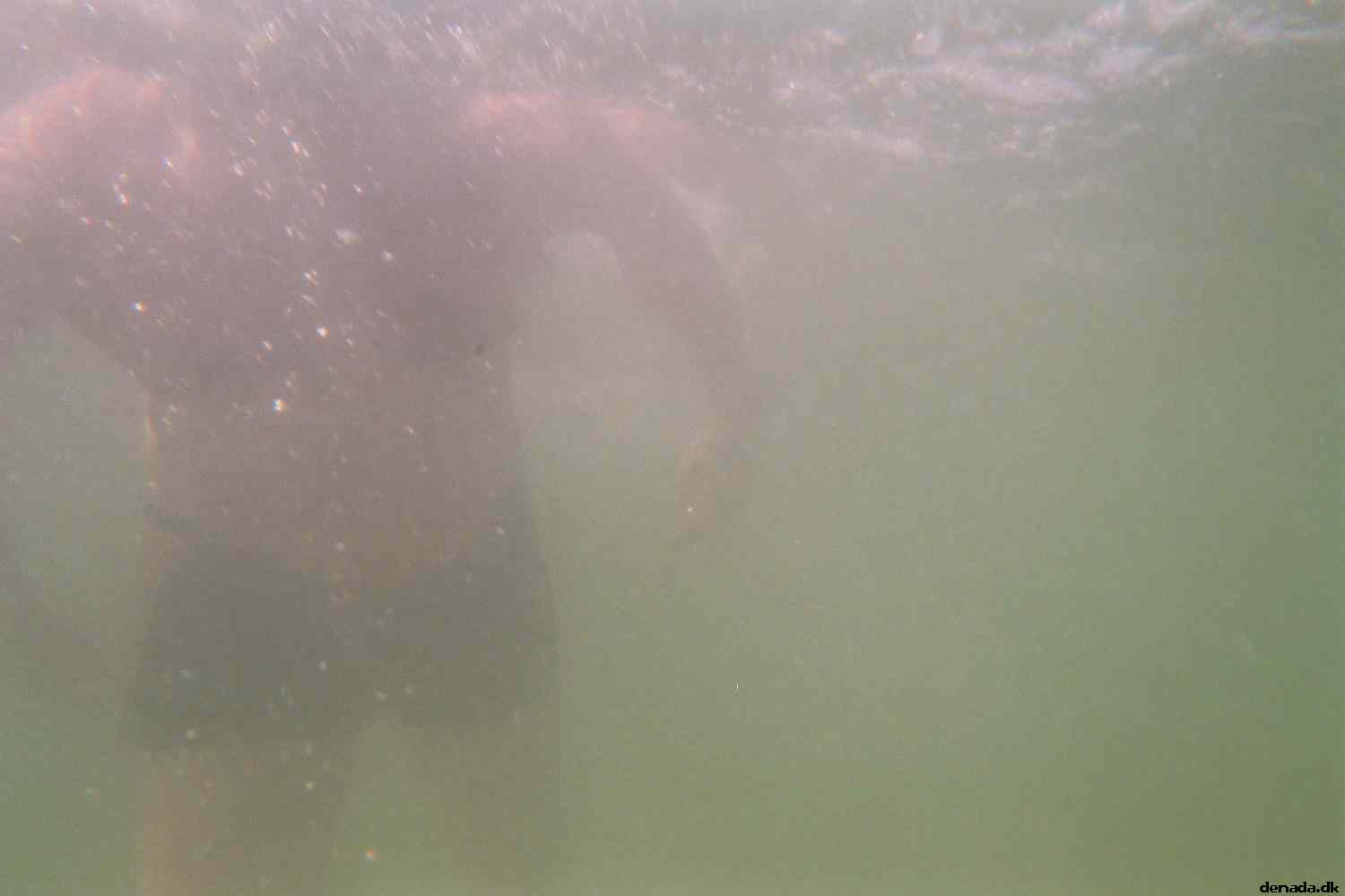 * Image 3
