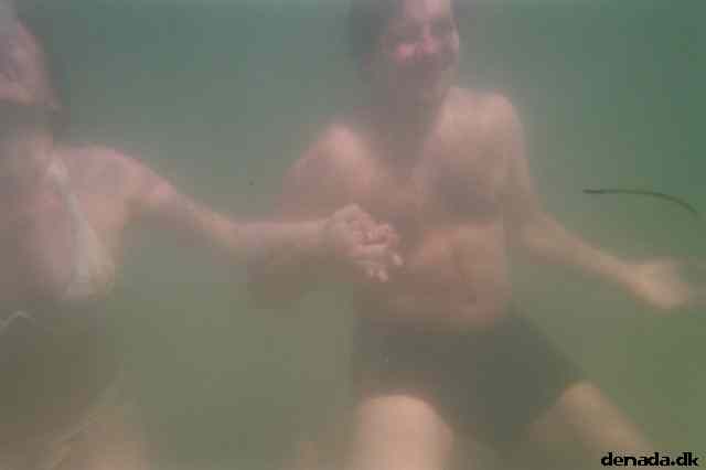 * Image 1