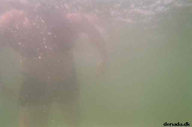* Image 3