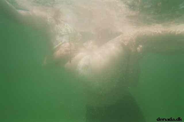* Image 10