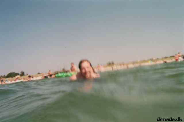* Image 11