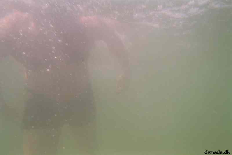 * Image 3