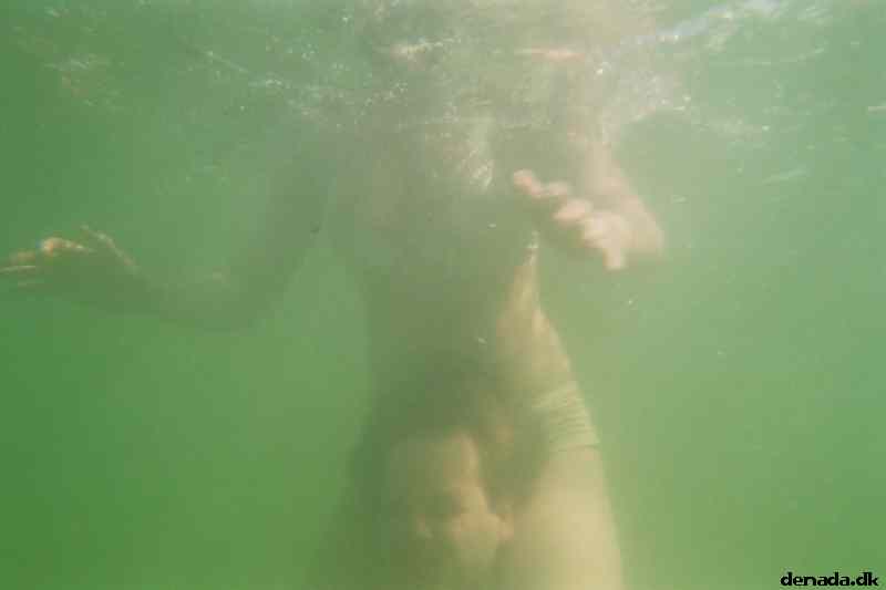 * Image 7