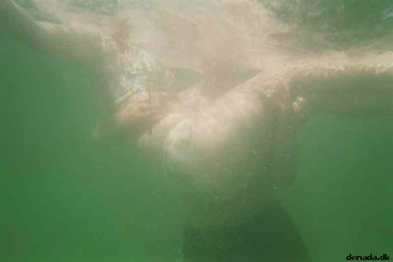 * Image 10