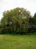HPIM0039.JPG - 2004:08:01 18:17:21