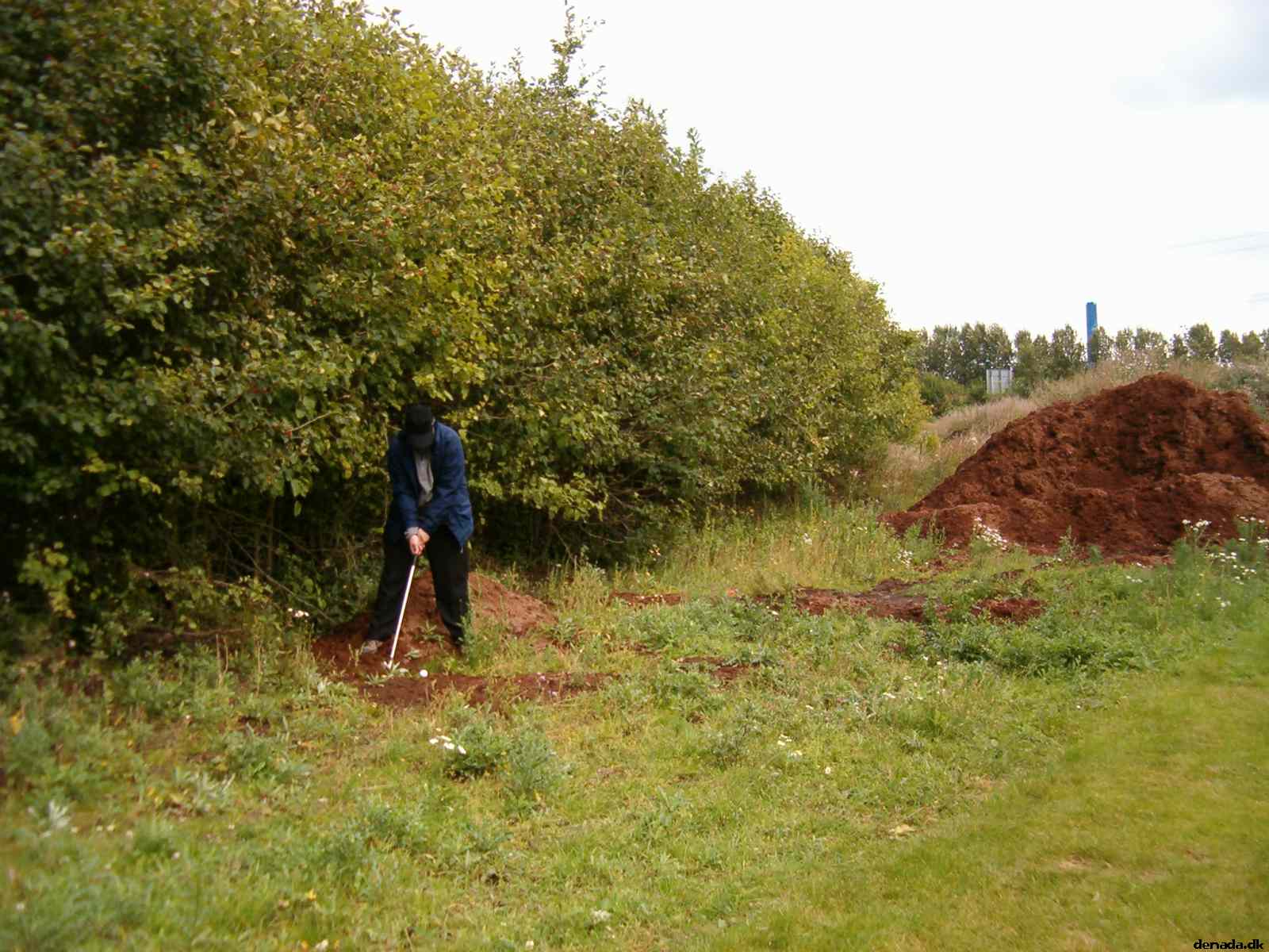 * Image 34
