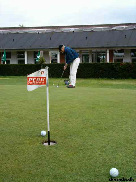 * Image 12