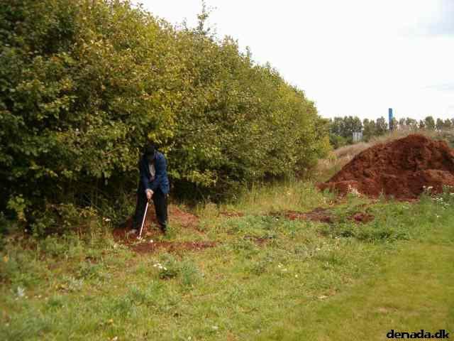 * Image 34