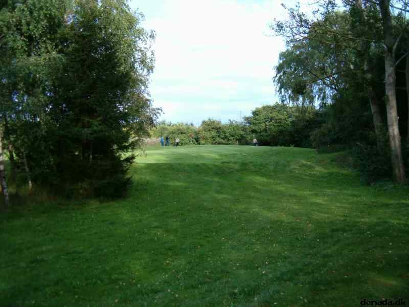 * Image 30