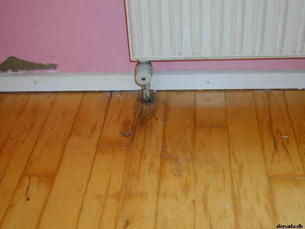 * Image 5