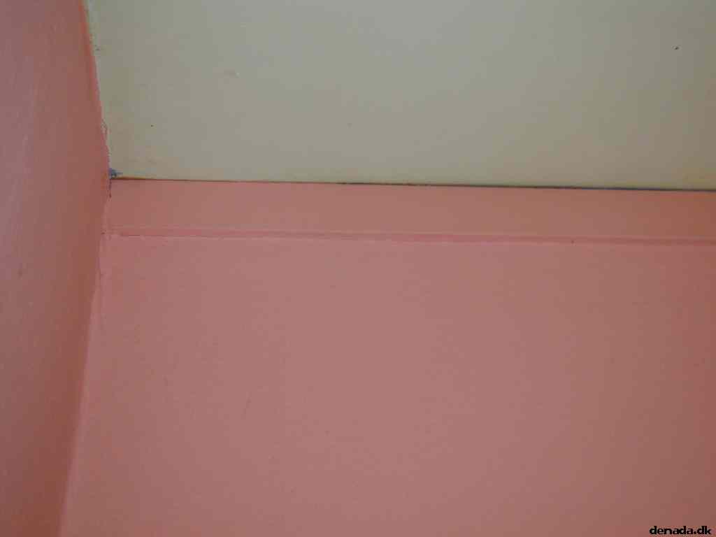 * Image 7