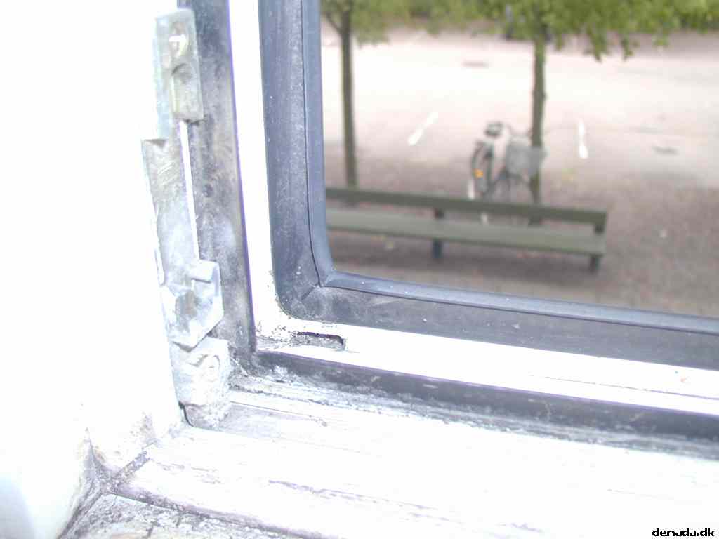 * Image 12