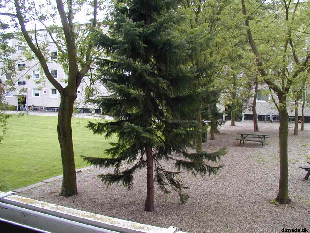 * Image 23