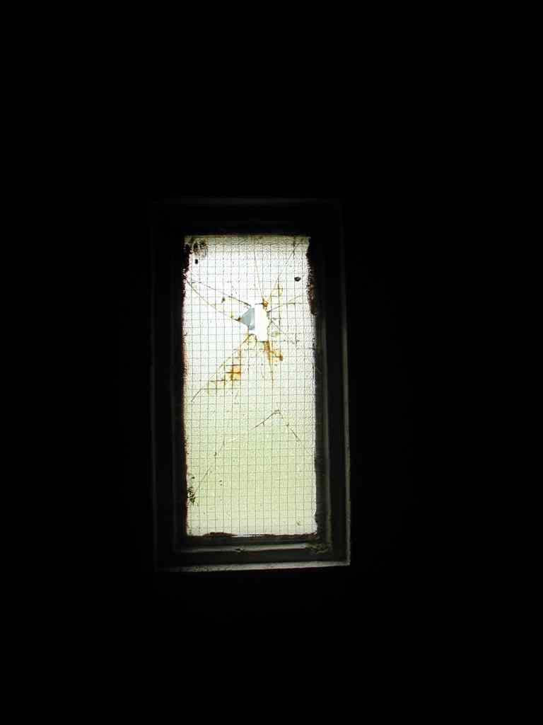 * Image 66