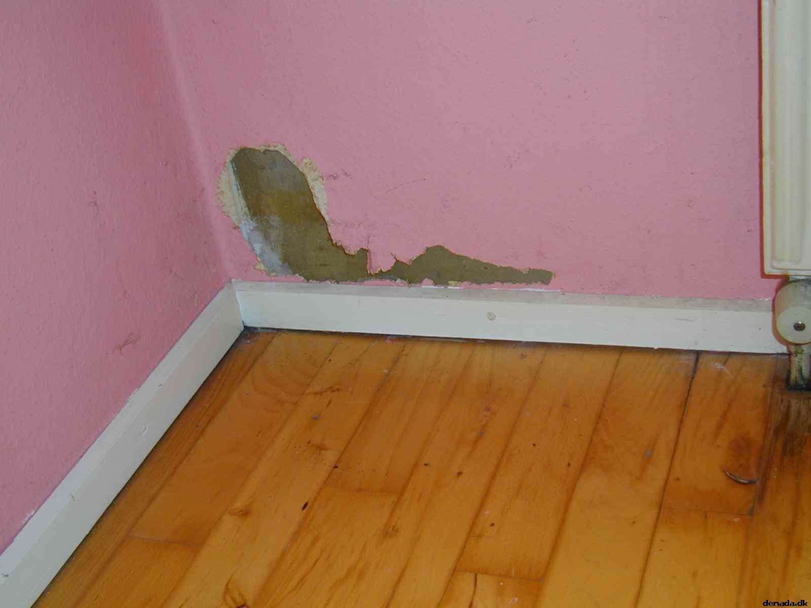 * Image 6