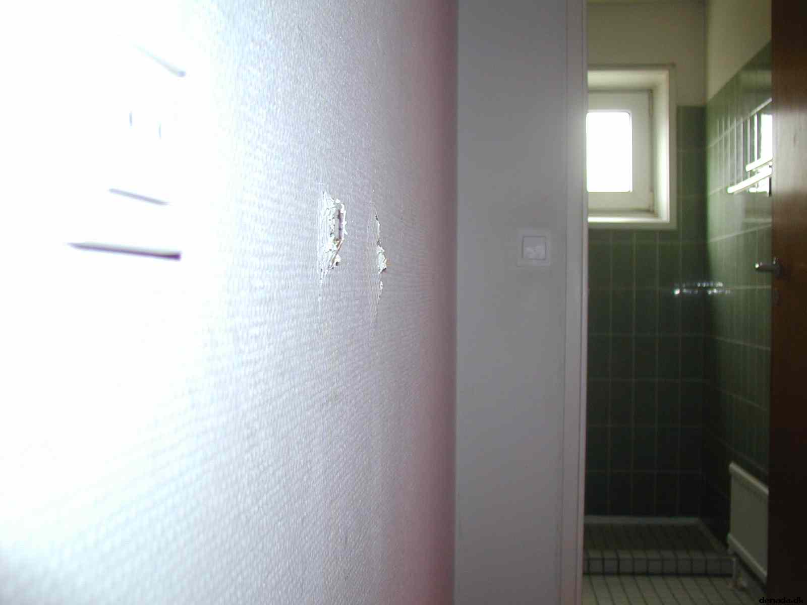 * Image 8